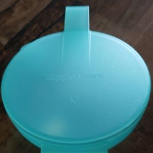 Tupperware- Onion Storage